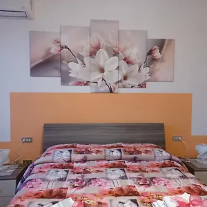 Quo Vadis Qui Vieni Rovigo
